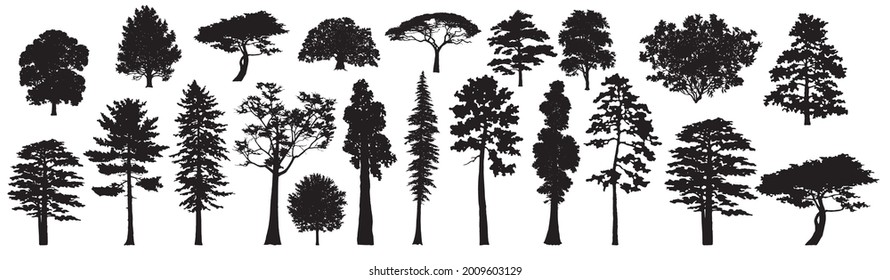 Tree Set. Different Tree Silhouette. Evergreen and Deciduous trees. Isolated on White Background. Vector Illustration. Forest and Park Elements. Nature collection. Black Hand Drawing Illustration. svg