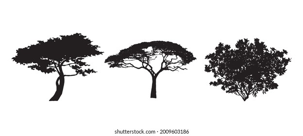 Tree Set. Different Tree Silhouette. Isolated on White Background. Vector Illustration. Forest and Park Elements. Deciduous trees. Nature collection. Black Hand Drawn Illustration.