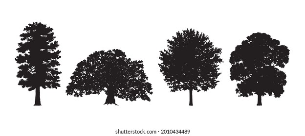 Tree Set. Different Tree Silhouette. Oak, Deciduous. Isolated on White Background. Vector Illustration. Forest and Park Elements. Deciduous trees. Nature Collection. Black Hand Drawing Illustration.