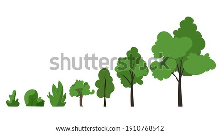 Tree set hand drawing isolated on white background , Illustration Vector EPS 10 
