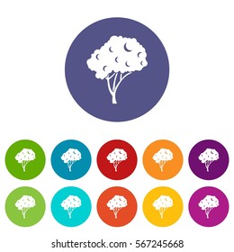 Tree set icons in different colors isolated on white background
