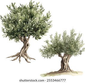 Tree set, isolated on white background, clear image, vector Tree collection