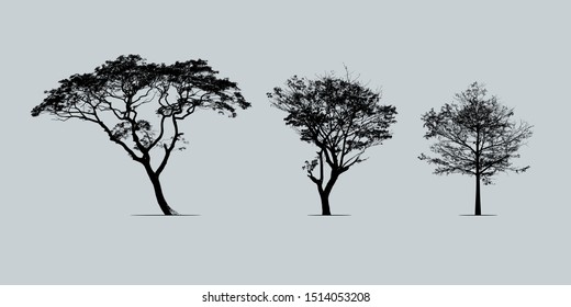 Tree set silhouette. 
The high contrast style isolated on background, vector file. 
(Trees and background colour could be changed in vector application)