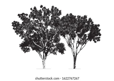 Tree set silhouette. 
The high contrast style isolated on background, vector file. 