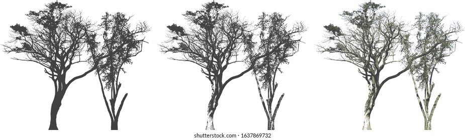 Tree set silhouette. 
The high contrast style isolated on background, vector file.  - Shutterstock ID 1637869732