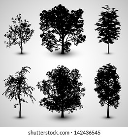 Tree Set Silhouettes Set 2 | EPS10 Vector