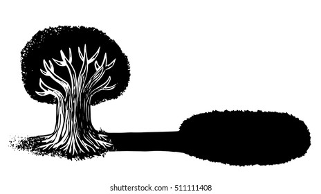 Tree and shadow
