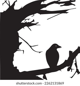 tree shadow with crow design vector illustration.