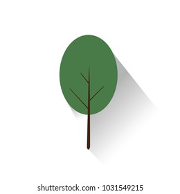 tree and shadow flat.vector