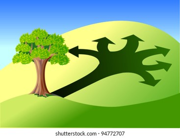 tree and its shadow in form of arrows to different directions