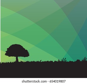 tree shadow in the green sky background