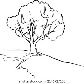 tree, shadow, hand draw. Black vector illustration art