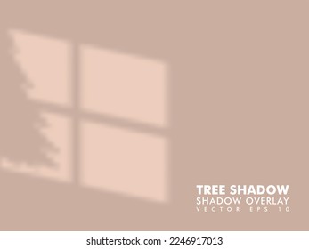 Tree shadow on the window