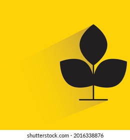 árbol con sombra sobre fondo amarillo