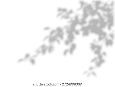 Tree shadow overlay on white background, vector illustration. Leaves branch shadows on the wall