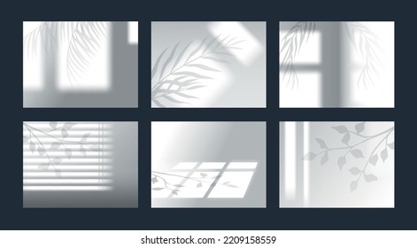 Tree shadow from window overlay. Light leaves. Monstera foliage and jalousie overlap effect. Summer botanical sunlight shade mockup on wall. Palm branches. Vector geometric elements set