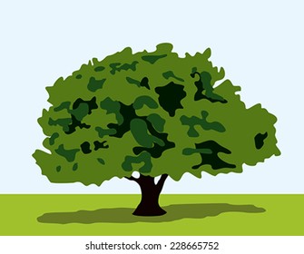 Tree with shadows on grass