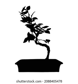 Tree shape. Bonsai plant tree silhouette. Hand drawn. Traditional Asian art and culture. Vector.