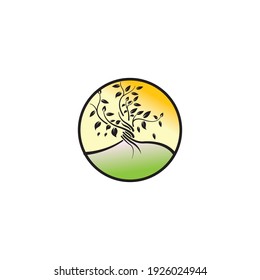 tree shape circle logo illustration nature vector design with color