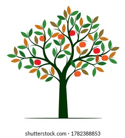 Tree shape with colour leaves and Fruits. Vector outline Illustration. Plant in Garden.