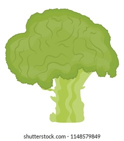 
Tree shaped vegetable is showing broccoli icon 
