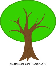 tree with sharp branches and green top forest plant on a white background environment and nature concept