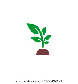 Tree shoots grow above the ground.