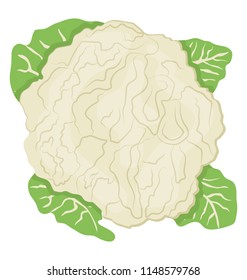 
Tree shrub shape graphic with leaves denoting cauliflower icon 
