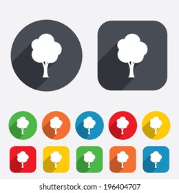 Tree sign icon. Forest symbol. Circles and rounded squares 12 buttons. Vector