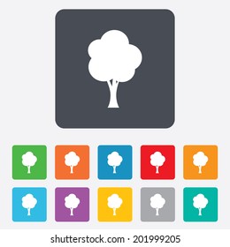 Tree sign icon. Forest symbol. Rounded squares 11 buttons. Vector