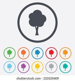 Tree sign icon. Forest symbol. Round circle buttons with frame. Vector