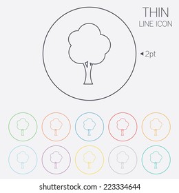 Tree sign icon. Forest symbol. Thin line circle web icons with outline. Vector