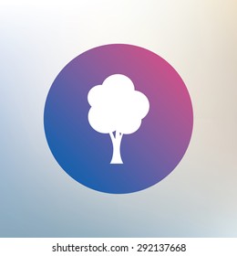 Tree sign icon. Forest symbol. Icon on blurred background. Vector