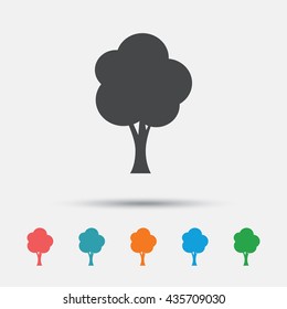 Tree sign icon. Forest symbol. Graphic element on white background. Colour clean flat tree icons. Vector