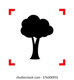 Tree sign illustration. Black icon in focus corners on white background. Isolated.