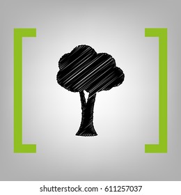 Tree sign illustration. Vector. Black scribble icon in citron brackets on grayish background.