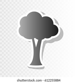 Tree sign illustration. Vector. New year blackish icon on transparent background with transition.