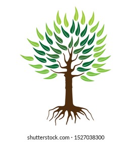 tree sign vector on white background. Mangrove tree icon