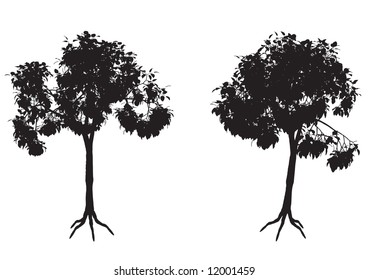 Tree Silhouette 1