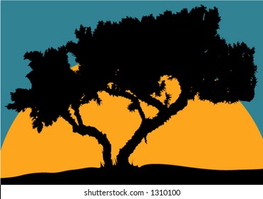 tree silhouette