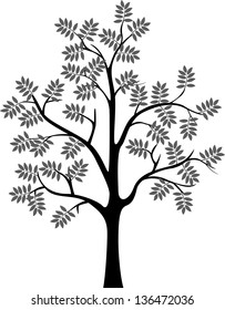 tree silhouette