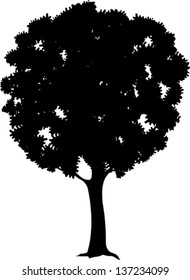 Tree silhouette