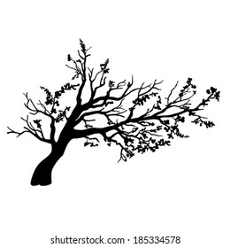 Tree silhouette