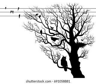 Tree silhouette