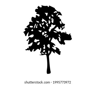 tree silhouette. abstract tree figure. tree icon