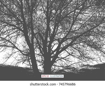 Tree silhouette. Abstract nature background. One click color change. Template for your design works. Vector illustration.
