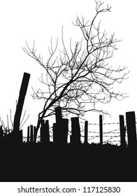 Tree silhouette against fence with barbed wire