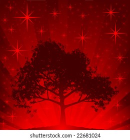Tree Silhouette against starry sky.