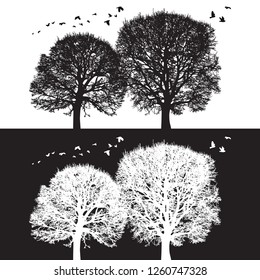 Tree silhouette and birds - black and white vector illustration. Realistic detailed graphic image of natural forest plant with bare branches without leaves.