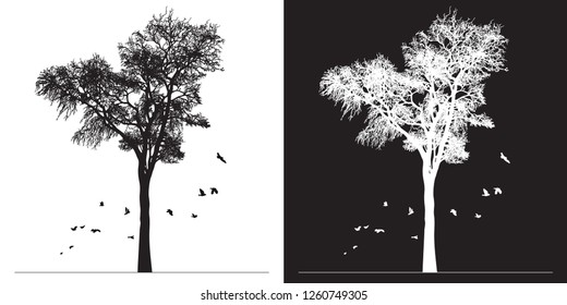 Tree silhouette and birds - black and white vector illustration. Realistic detailed graphic image of natural forest plant with bare branches without leaves.